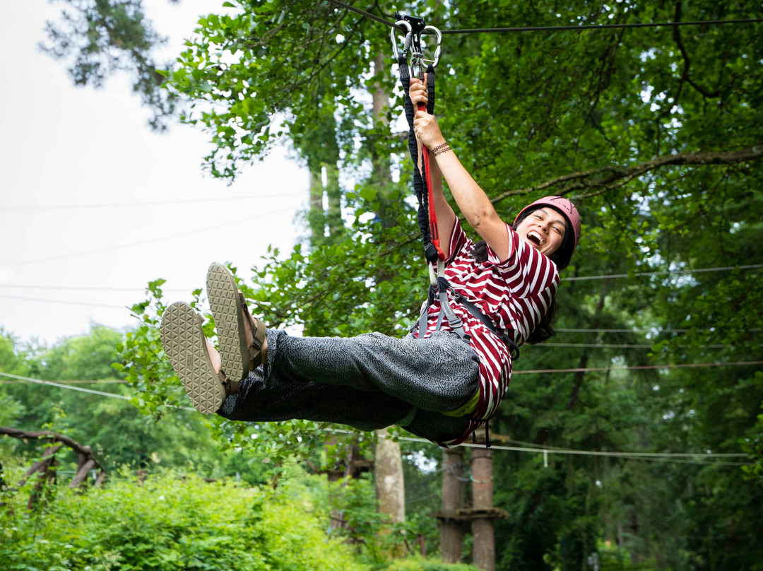 Associazione Adrenalina Parco Avventura Casentino景点图片