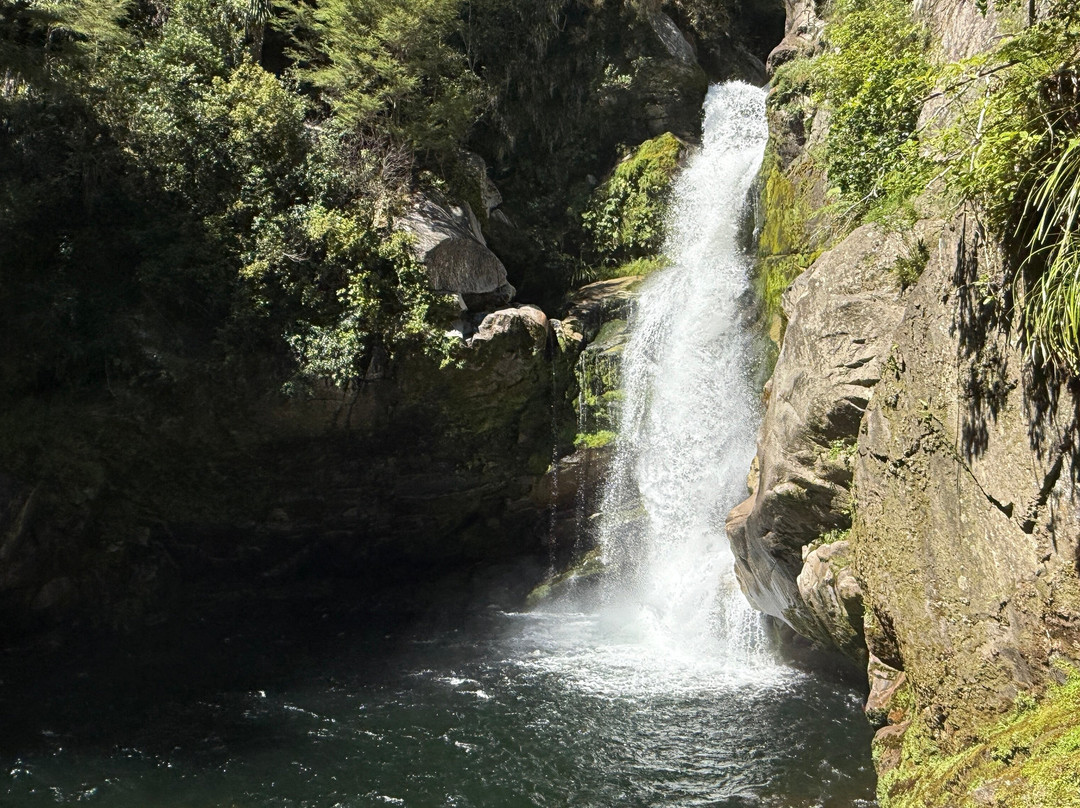 Wainui Falls Track-Abel Tasman National Park必去景点