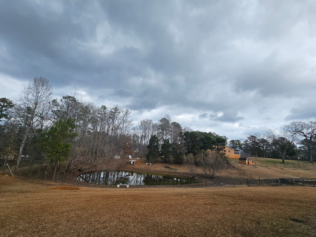 Buddy's Alpaca Farm-Douglasville必去景点
