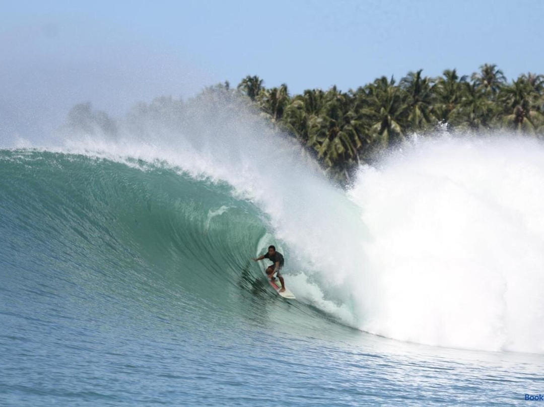 Marlynto Nias Losmen