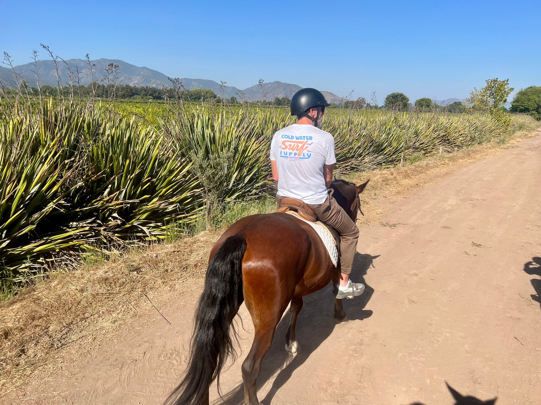 Cabalgatas Y Club Ecuestre Santa Cruz-圣克鲁斯必去景点