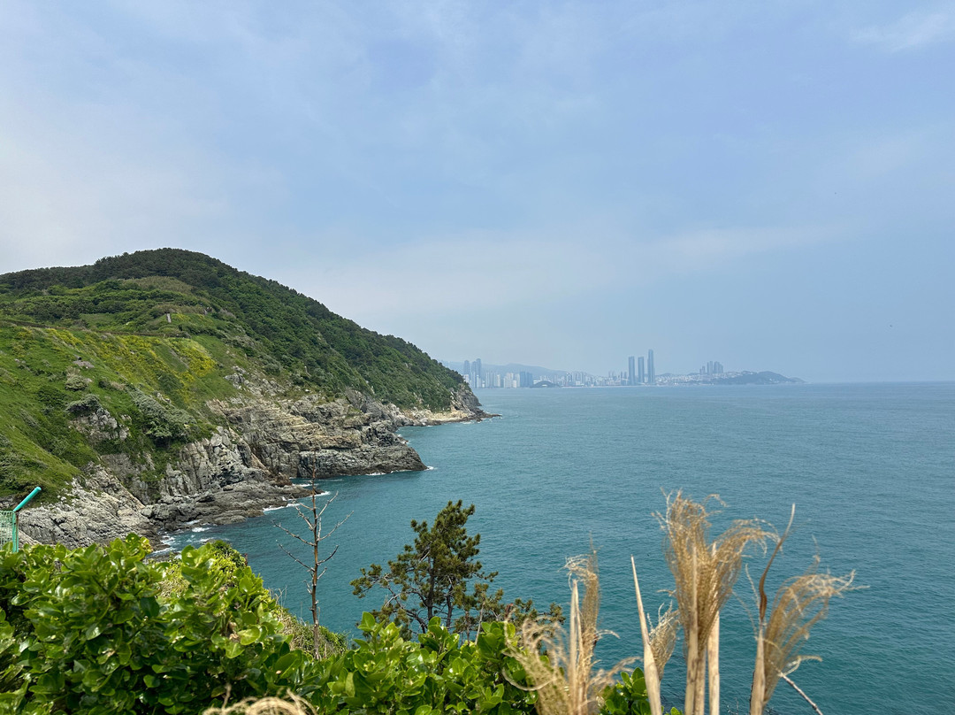 五六岛天空步道-釜山必去景点