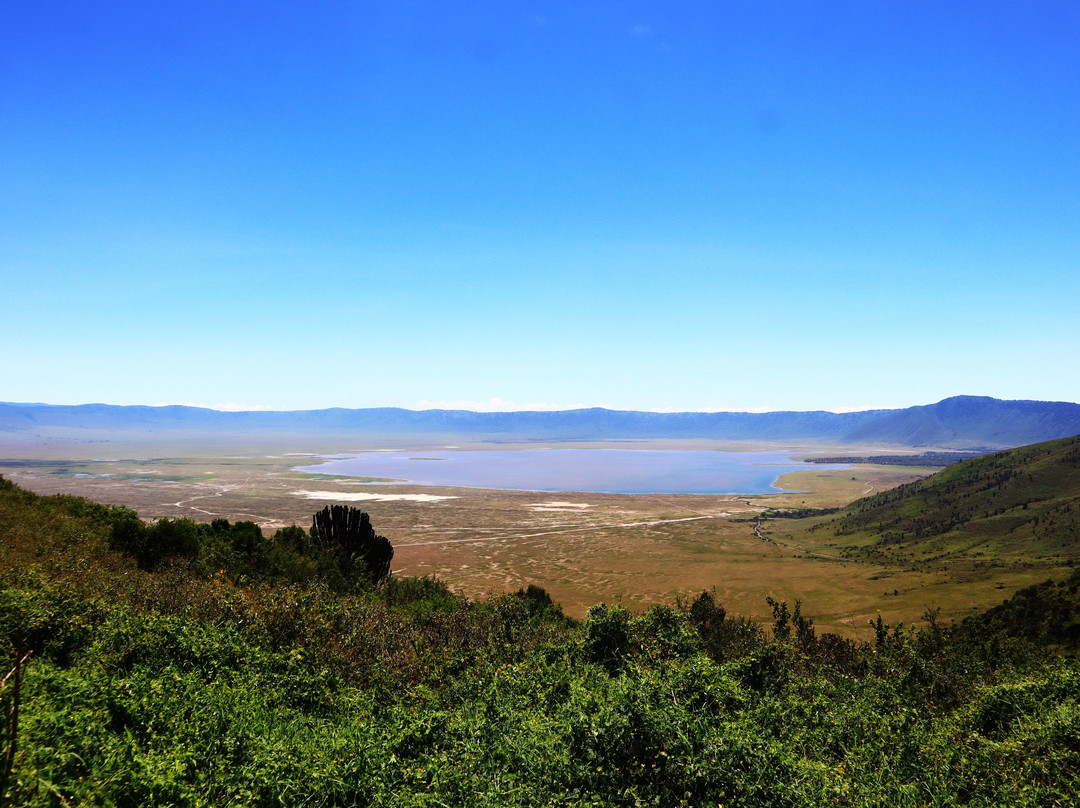 Livingstone Safari Tanzania-阿鲁沙必去景点