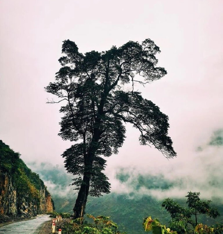 Dong Van Karst Plateau Geopark景点图片
