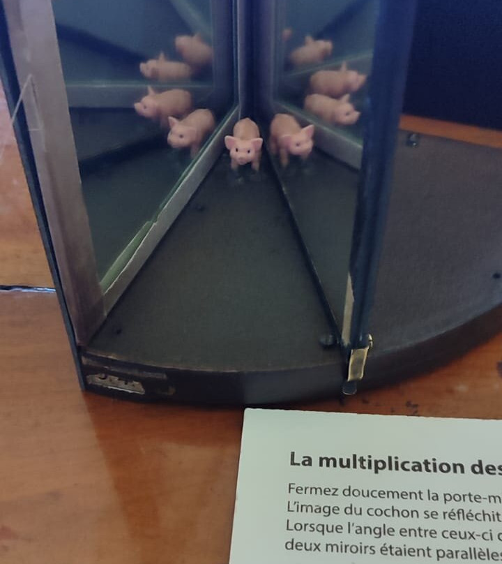 Musée d'histoire des sciences-日内瓦必去景点