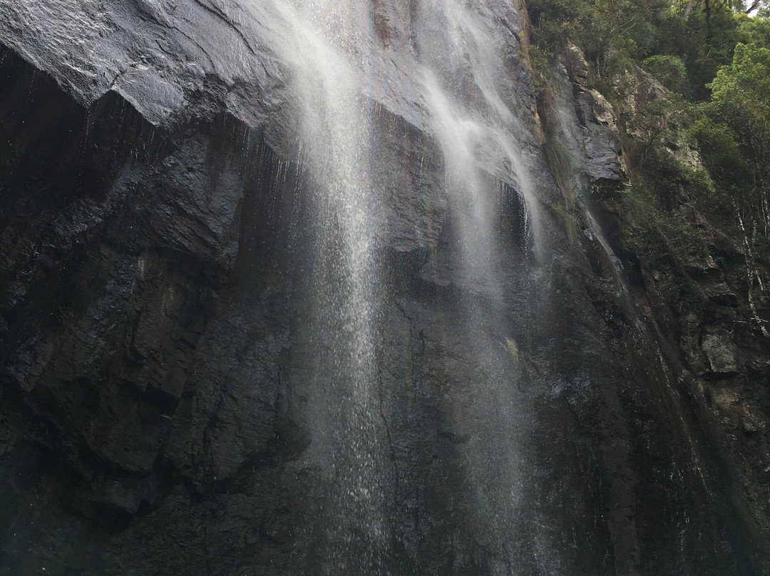 Blackfellow Falls景点图片