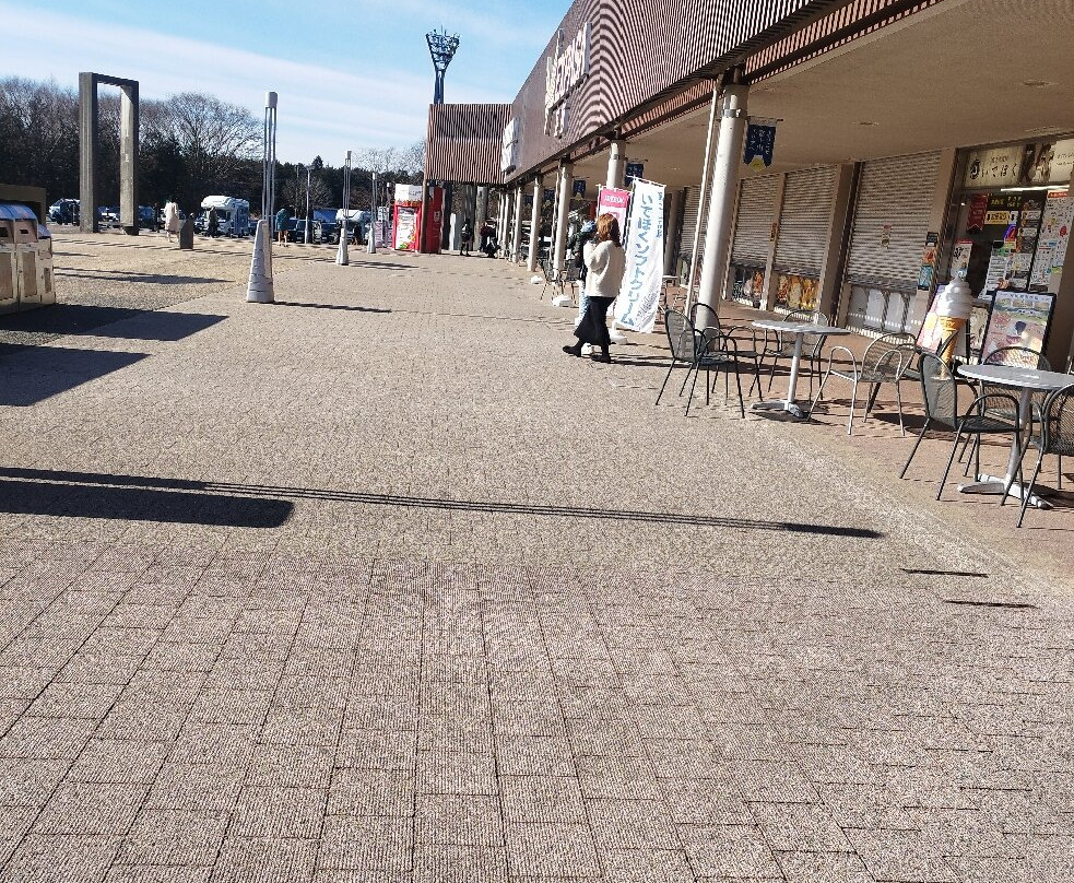 Ashigara Service Area Upline景点图片