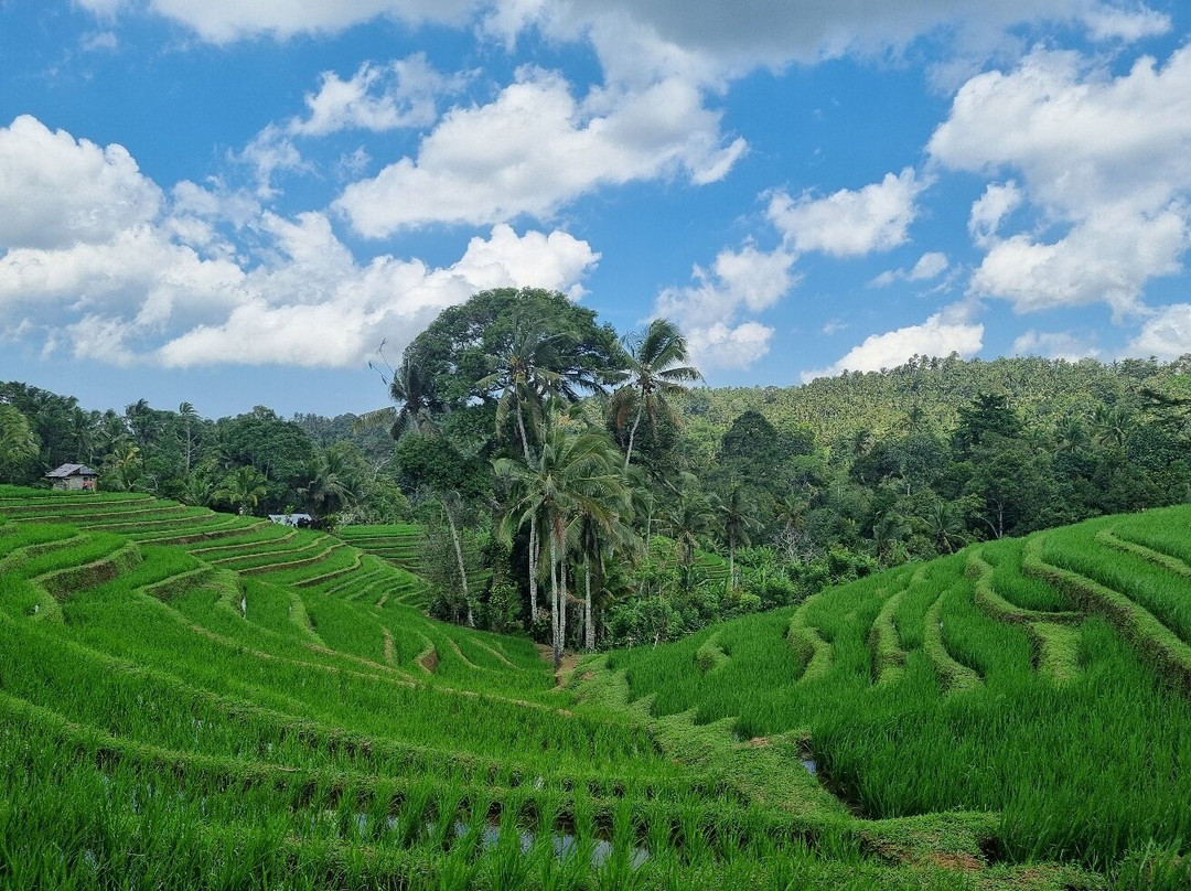 Belimbing Village-达巴南必去景点