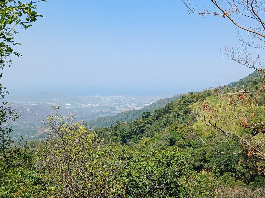 Finca La Candelaria景点图片