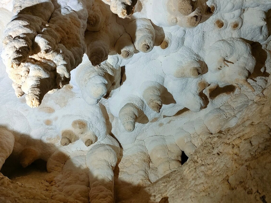 Milky Way Glowworm Cave - Waipu景点图片