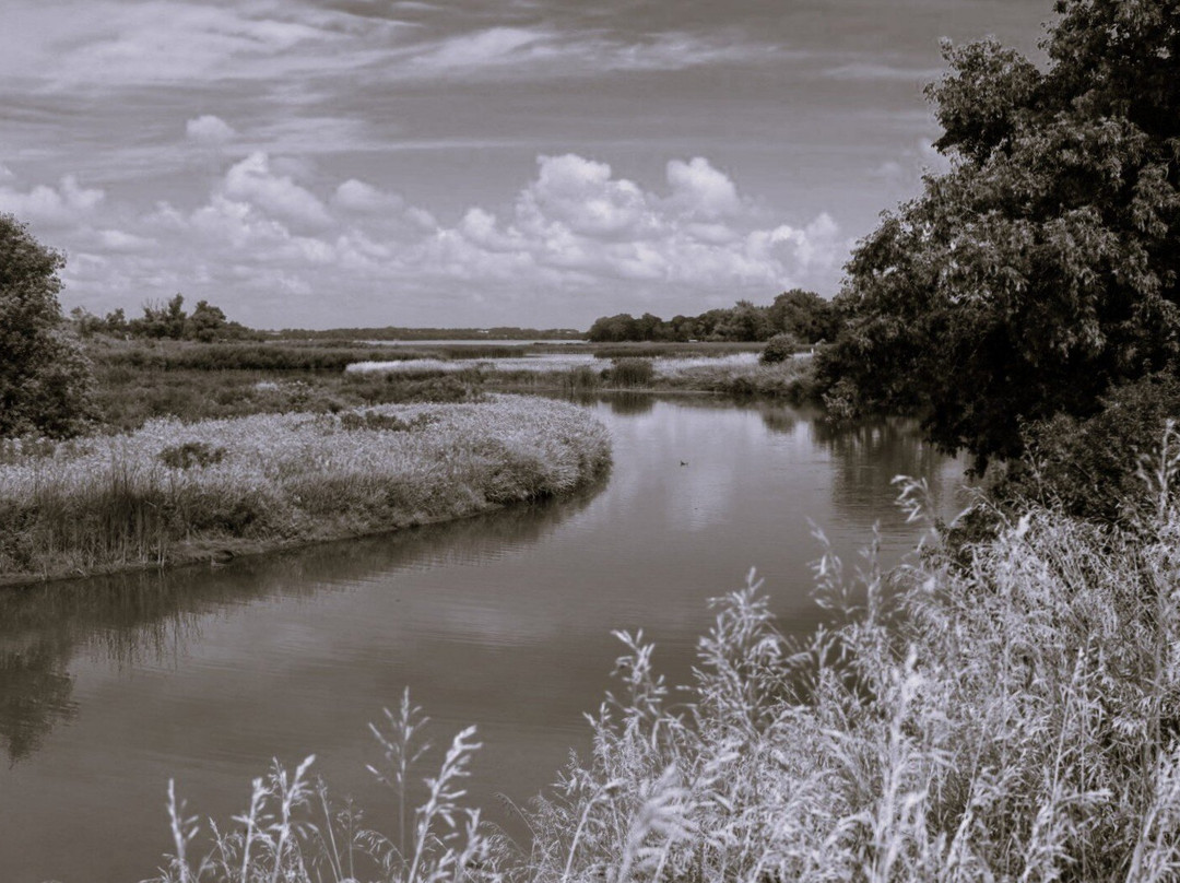 Lake Shetek State Park-Currie必去景点