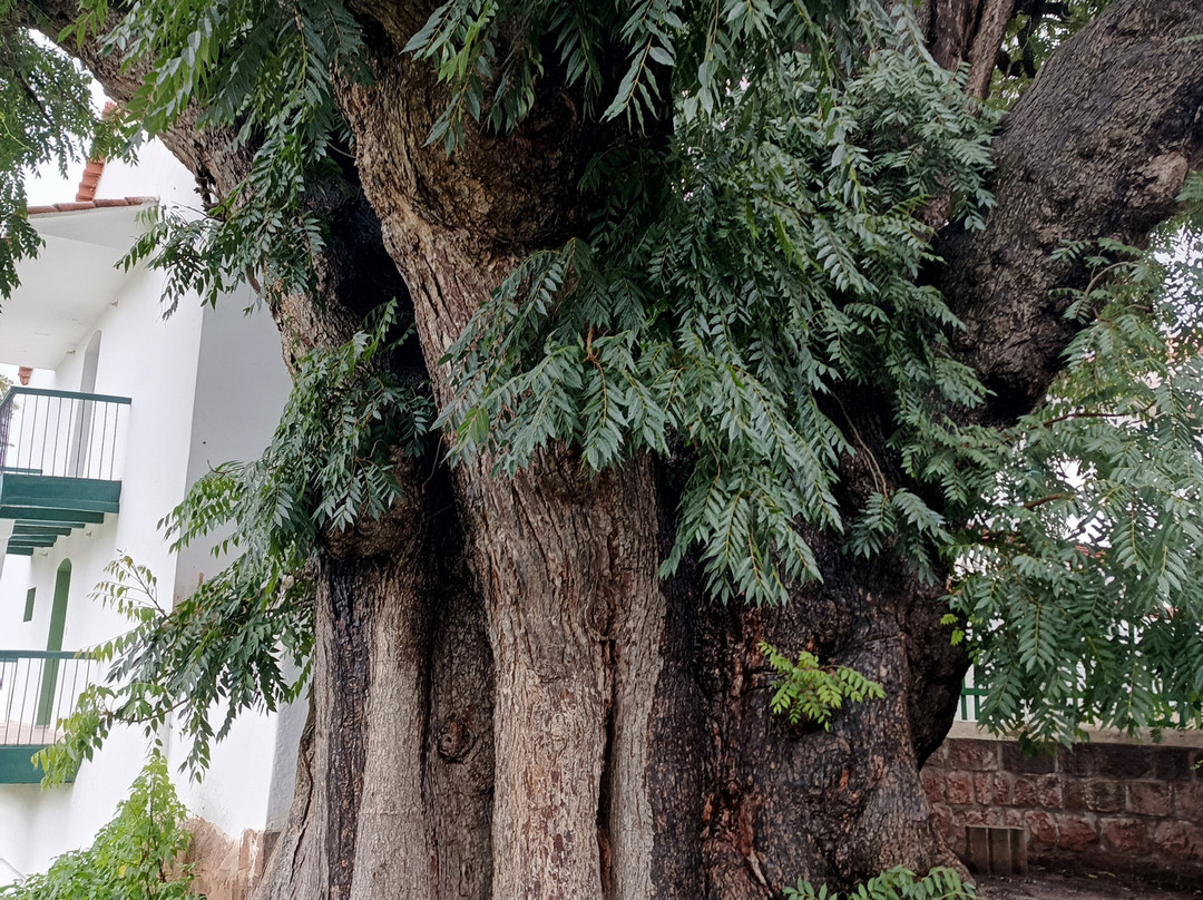 Museo de la Recoleta-苏克雷必去景点