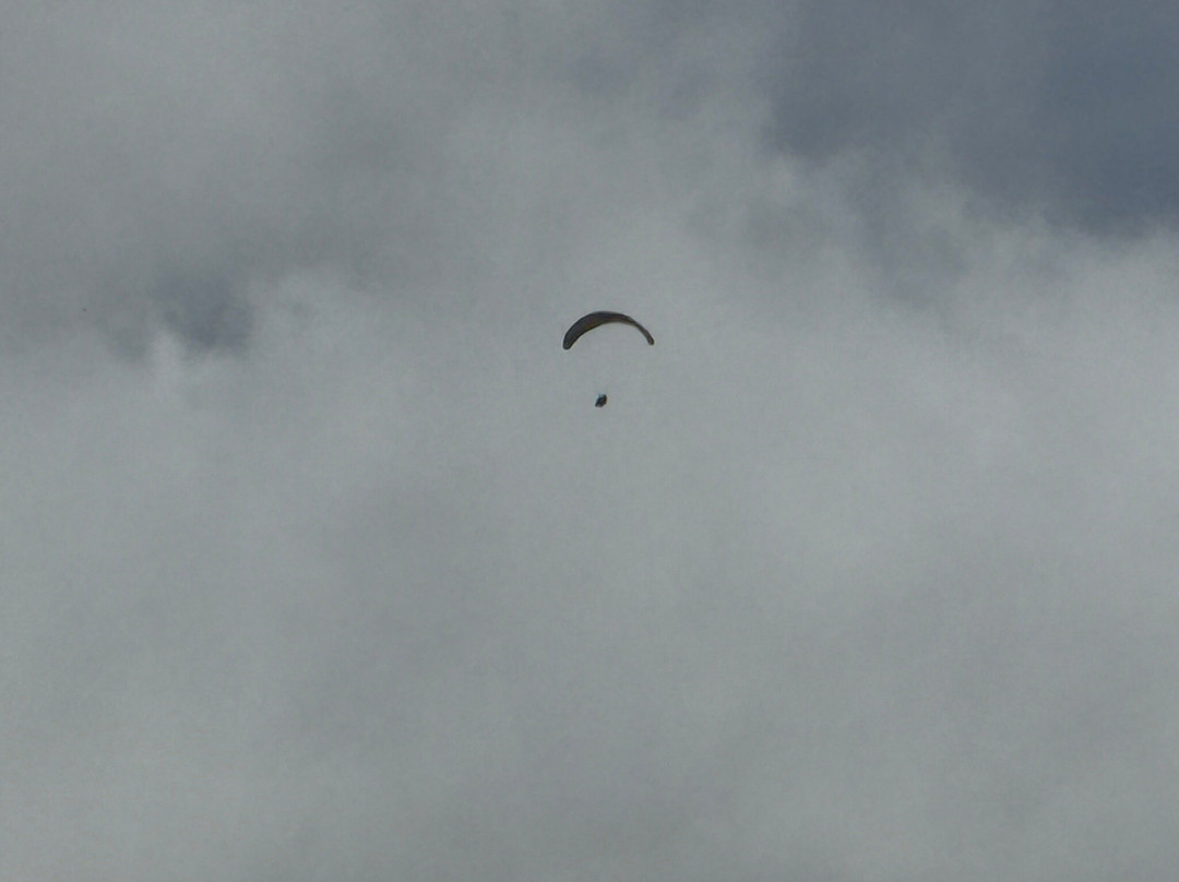 Tandem Fly La Palma景点图片