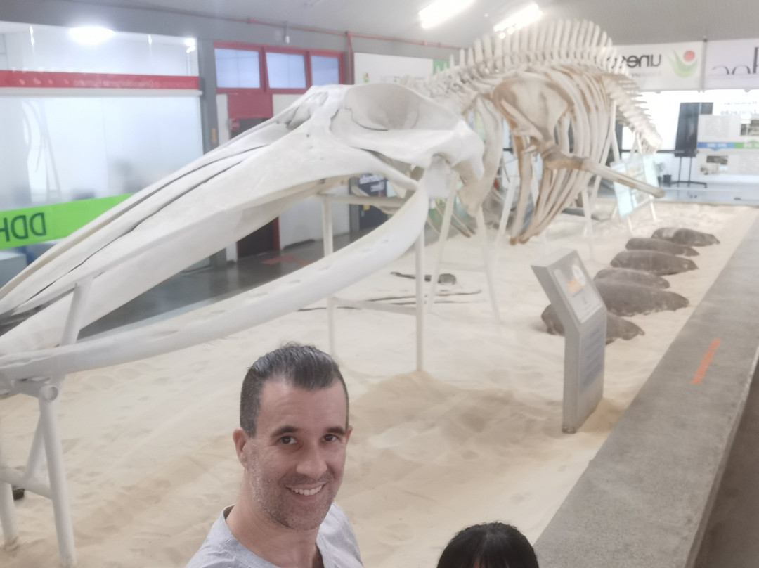 Museu de Zoologia Prof.ª Morgana Cirimbelli Gaidzinki da Unesc景点图片