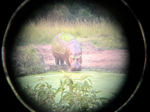 Lalu African Tours-恩德培必去景点