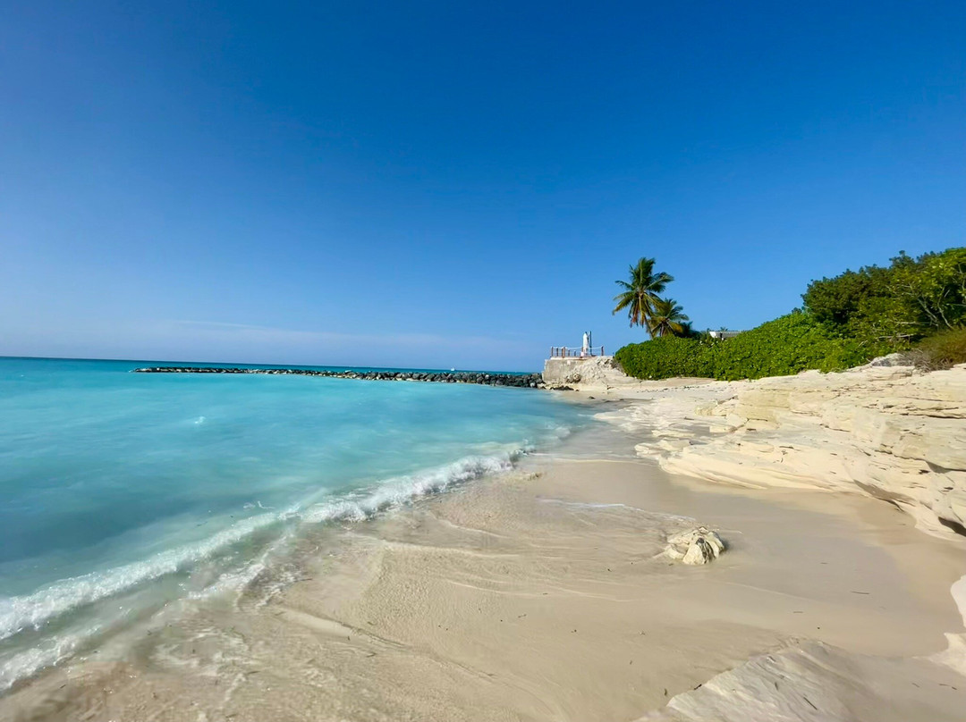 Leeward Beach-普罗维登西亚莱斯必去景点