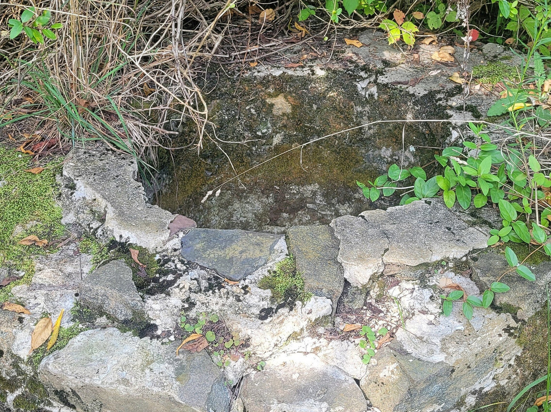 Baldpate Mountain-Titusville必去景点