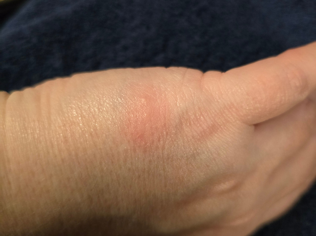 Best Western Cedar Inn主图