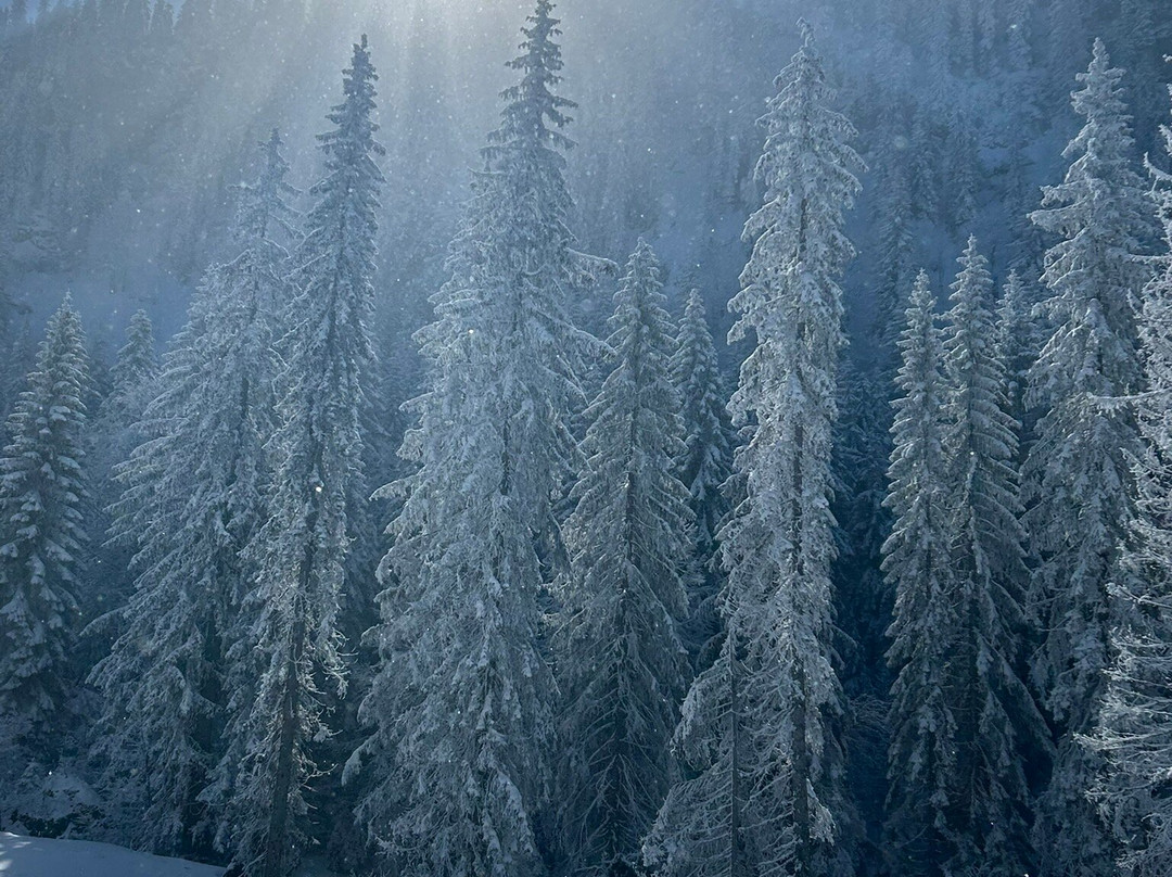 Ski Sarajevo景点图片
