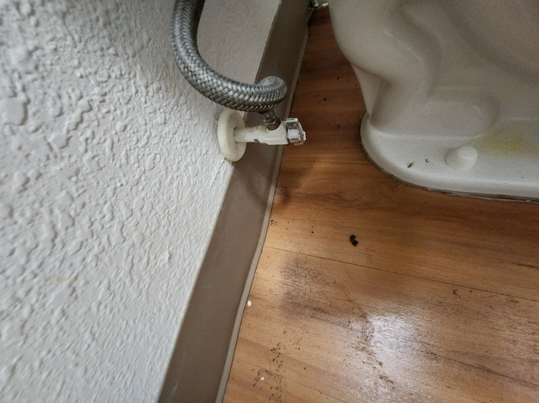 Motel 6 Youngstown主图