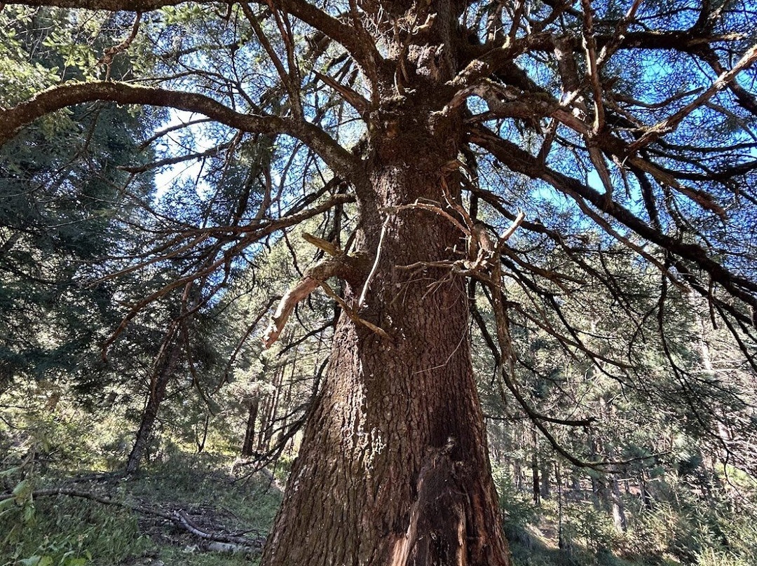 Unfolia-Naucalpan必去景点