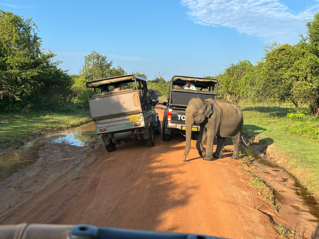 Yala National Park景点图片