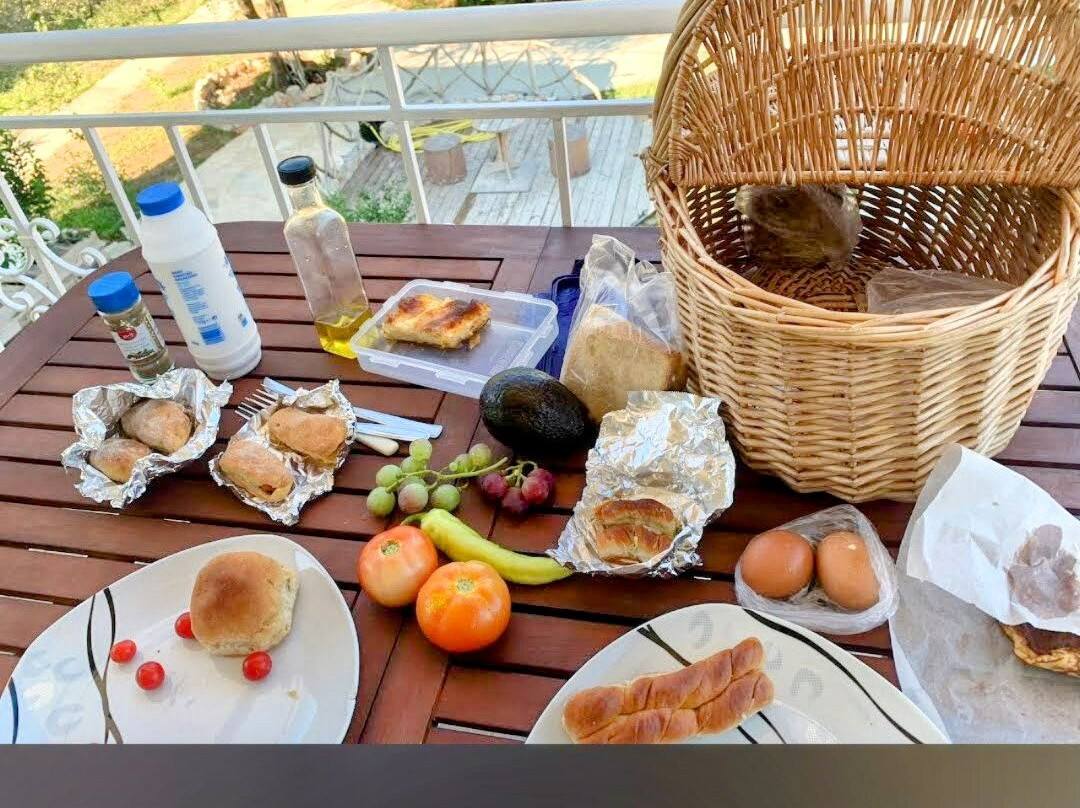 Il Viaggio Verde主图