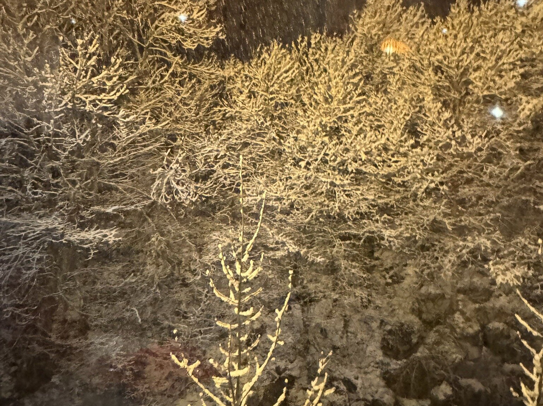 Hotel Palarine主图