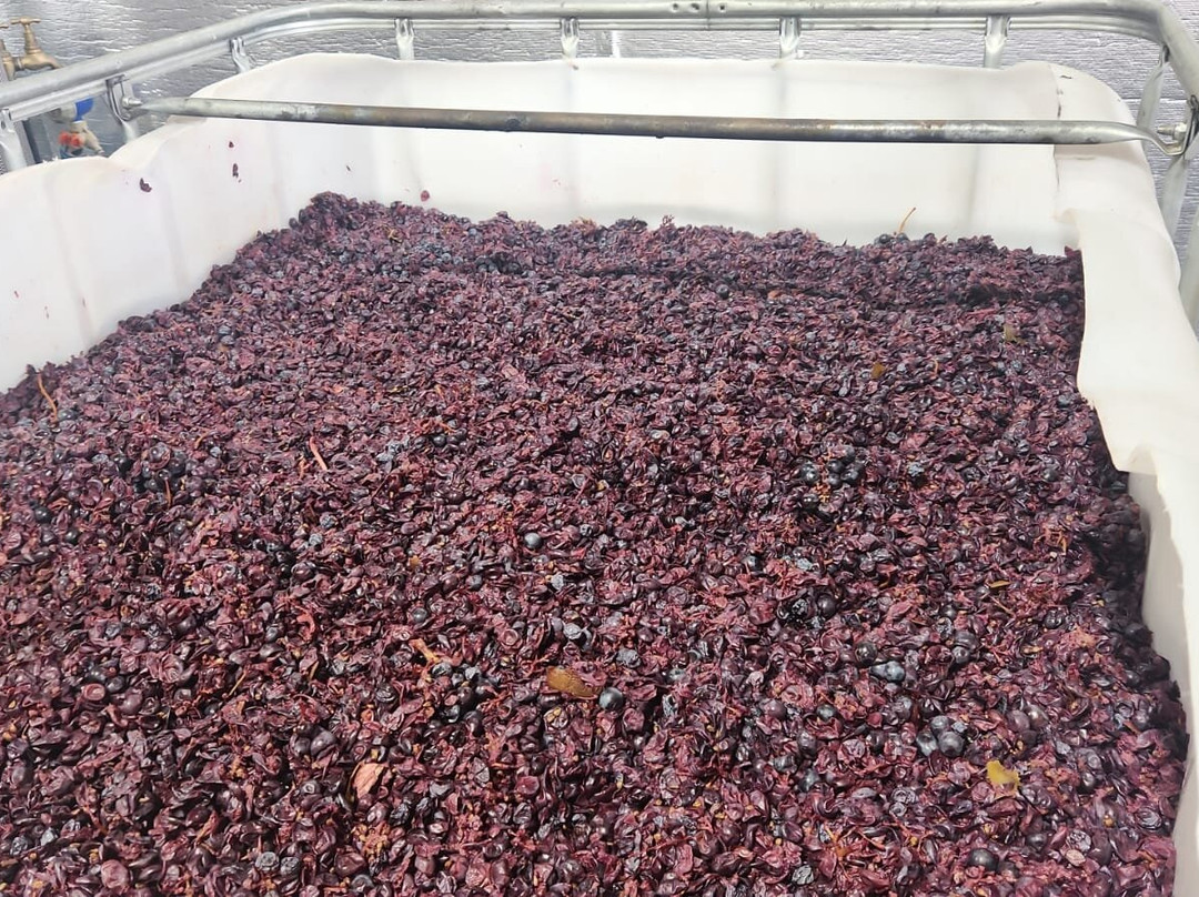 Be Consumed Tours-阿德莱德必去景点