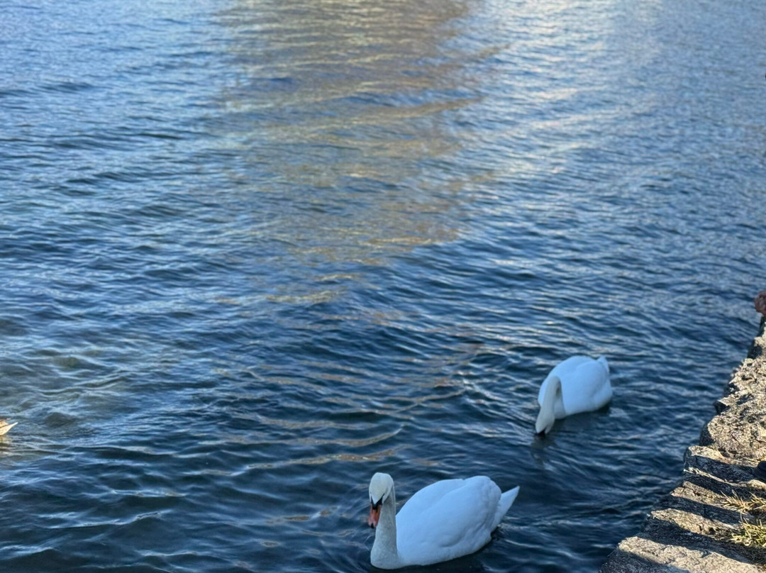 Seepromenade景点图片