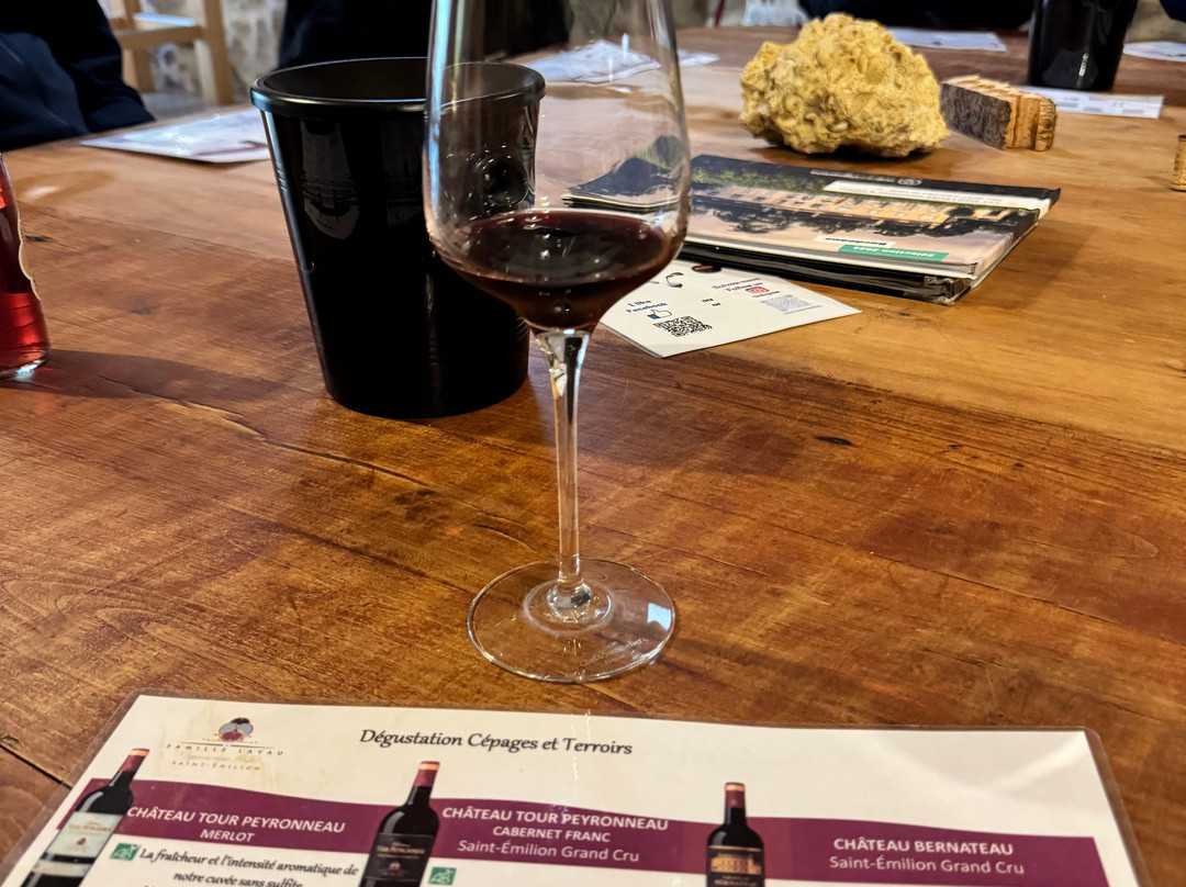 Chateau Bernateau-Saint-Etienne-De-Lisse必去景点