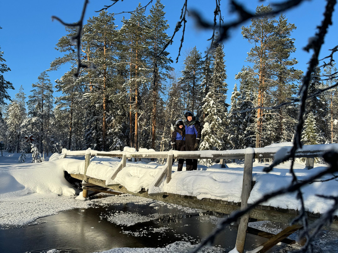 Wild Blueberry-罗瓦涅米必去景点