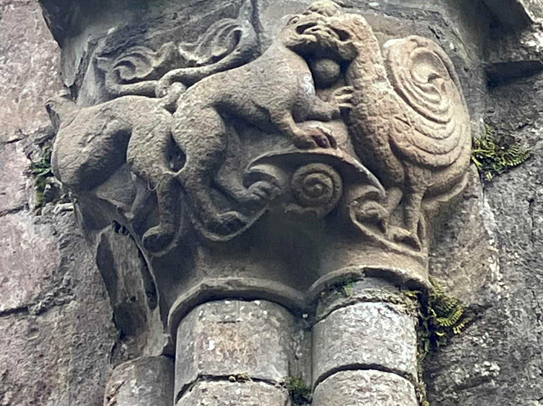 Boyle Abbey-Boyle必去景点