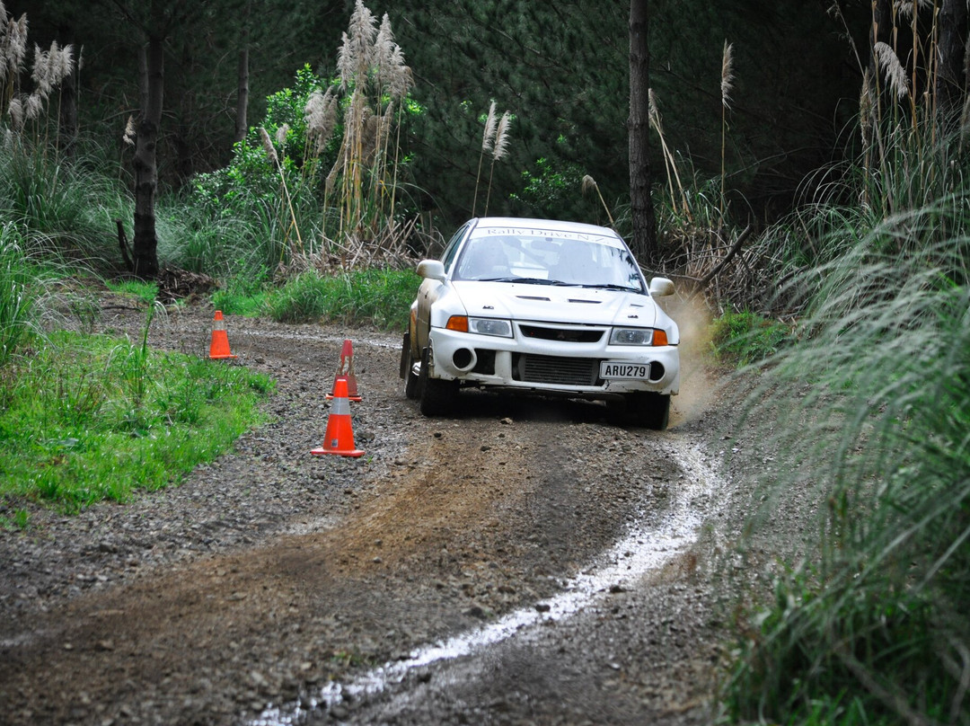 Rally Drive NZ-汉密尔顿必去景点
