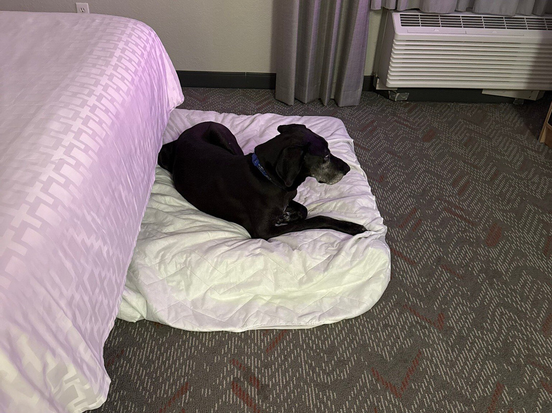 Candlewood Suites Kenosha By IHG主图