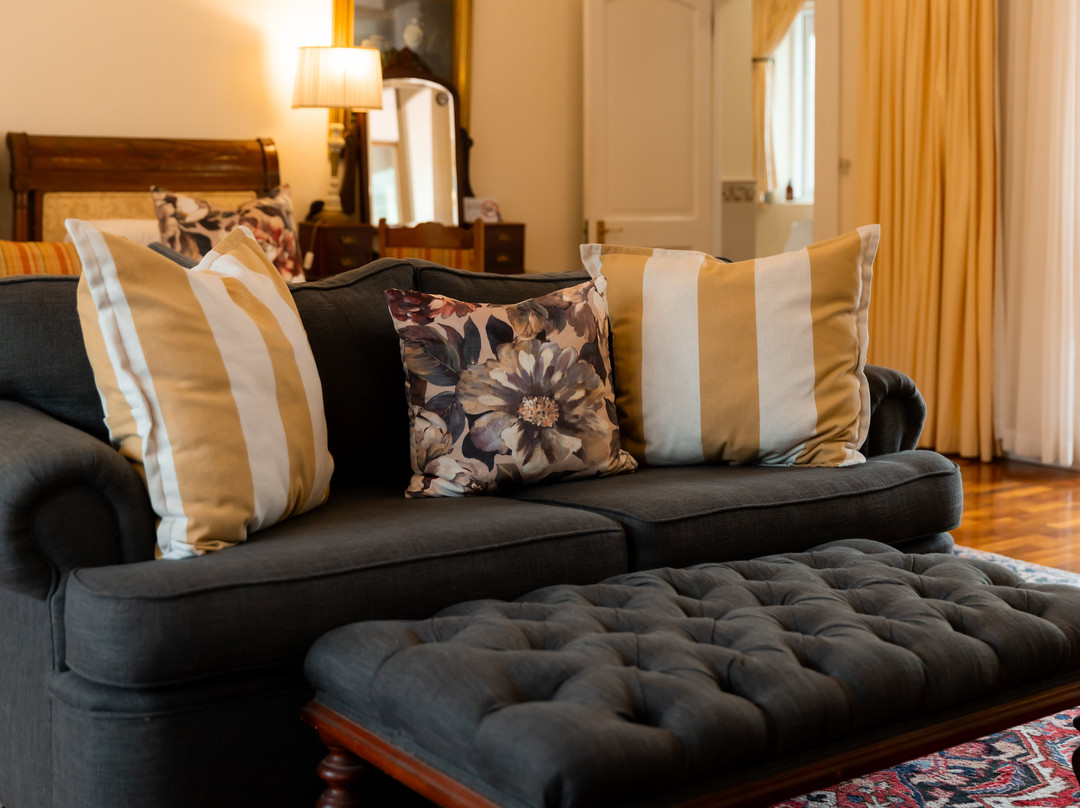 Lemon Tree Lane主图