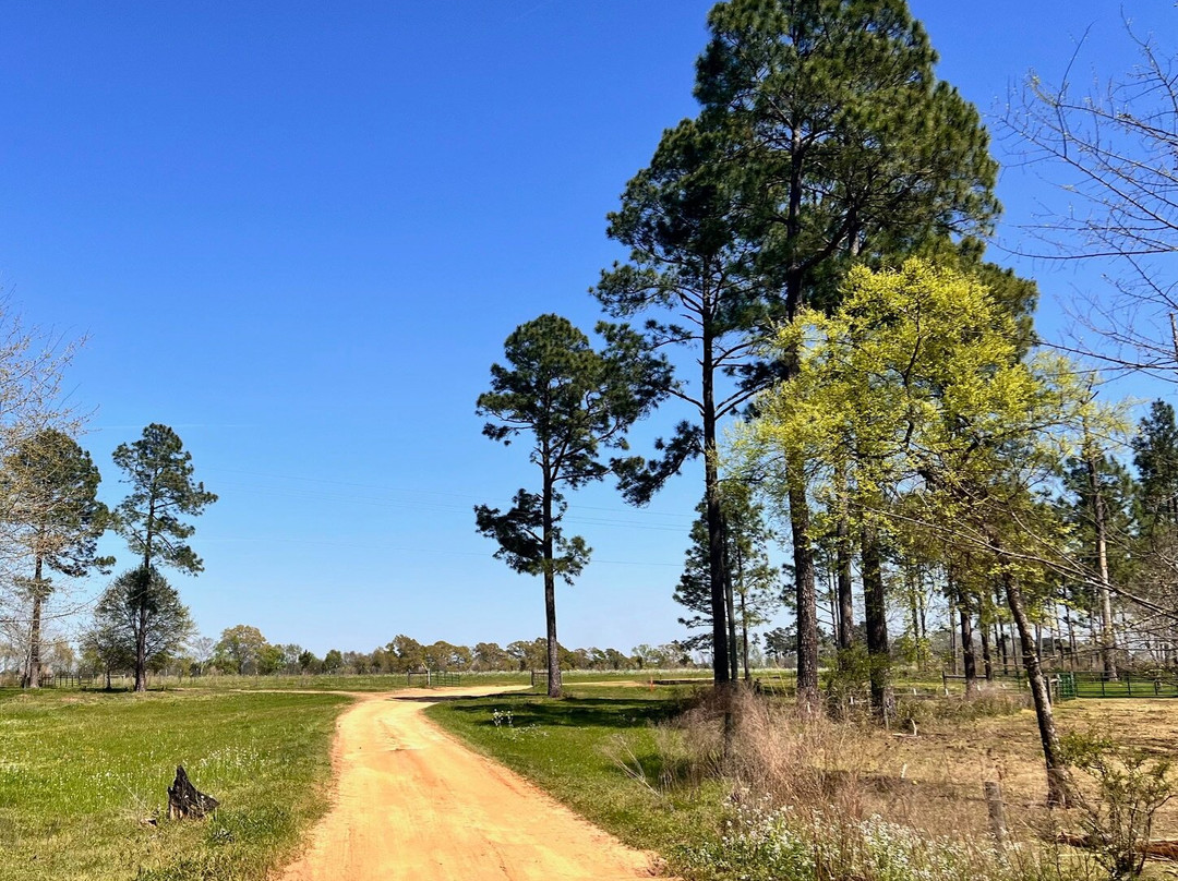 White Oak Pastures-Bluffton必去景点