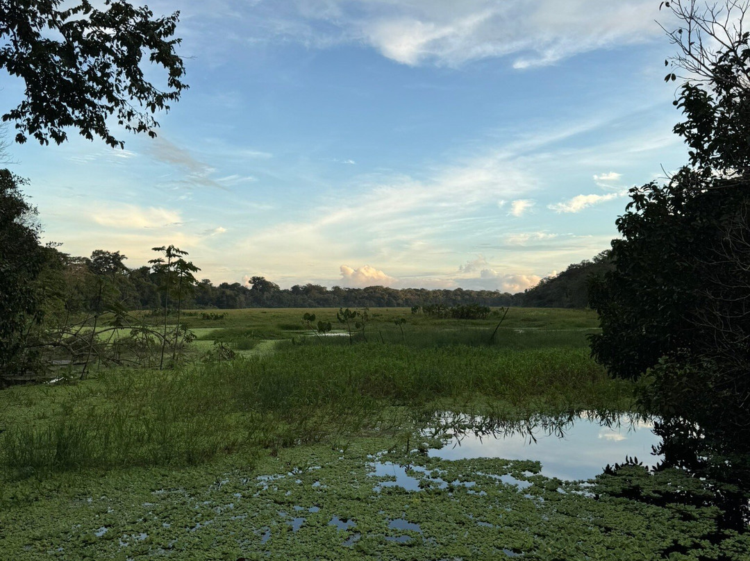 Amazon Fronteras Jungle Tours景点图片
