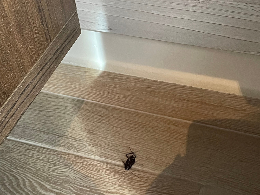 Kavala Resort & Spa主图