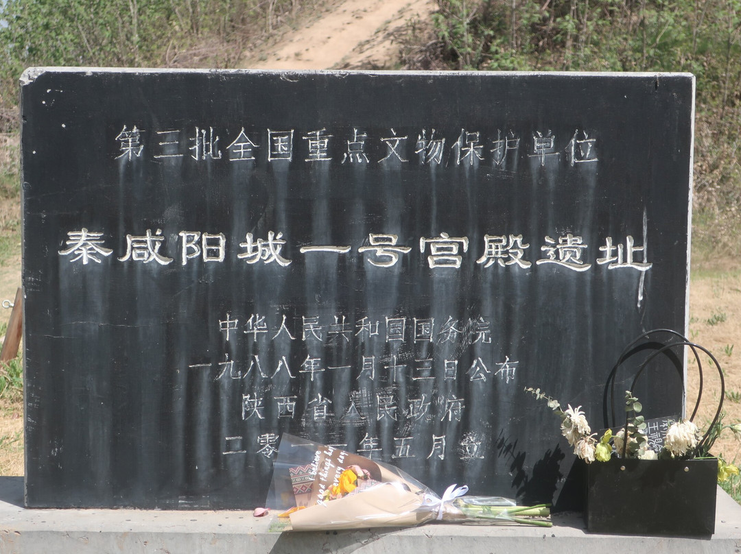 秦咸阳宫遗址博物馆-咸阳市必去景点