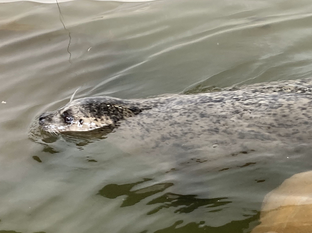 Seaside Aquarium-锡赛德必去景点