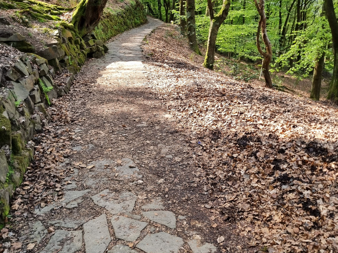 Rivington Terraced Gardens-Rivington必去景点