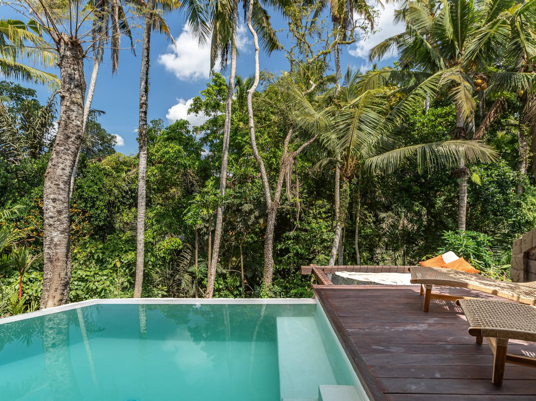 Casa Pohon Ubud主图