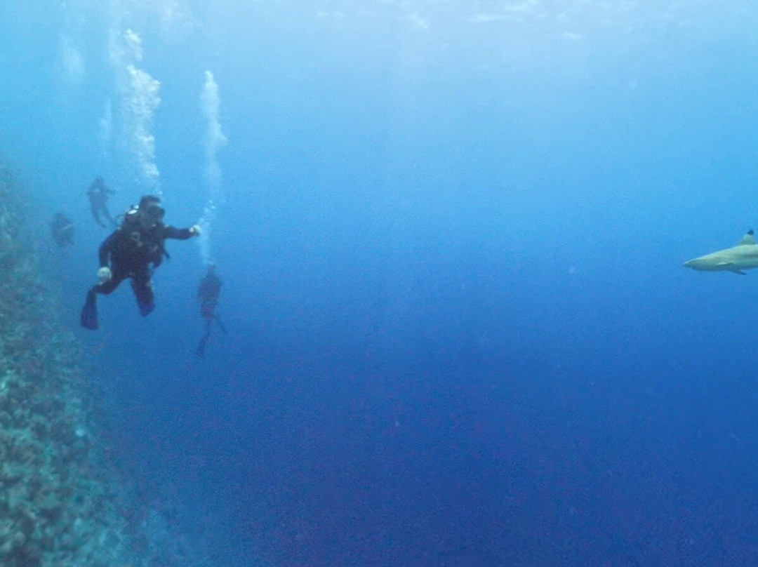 Family Divers Maldives景点图片
