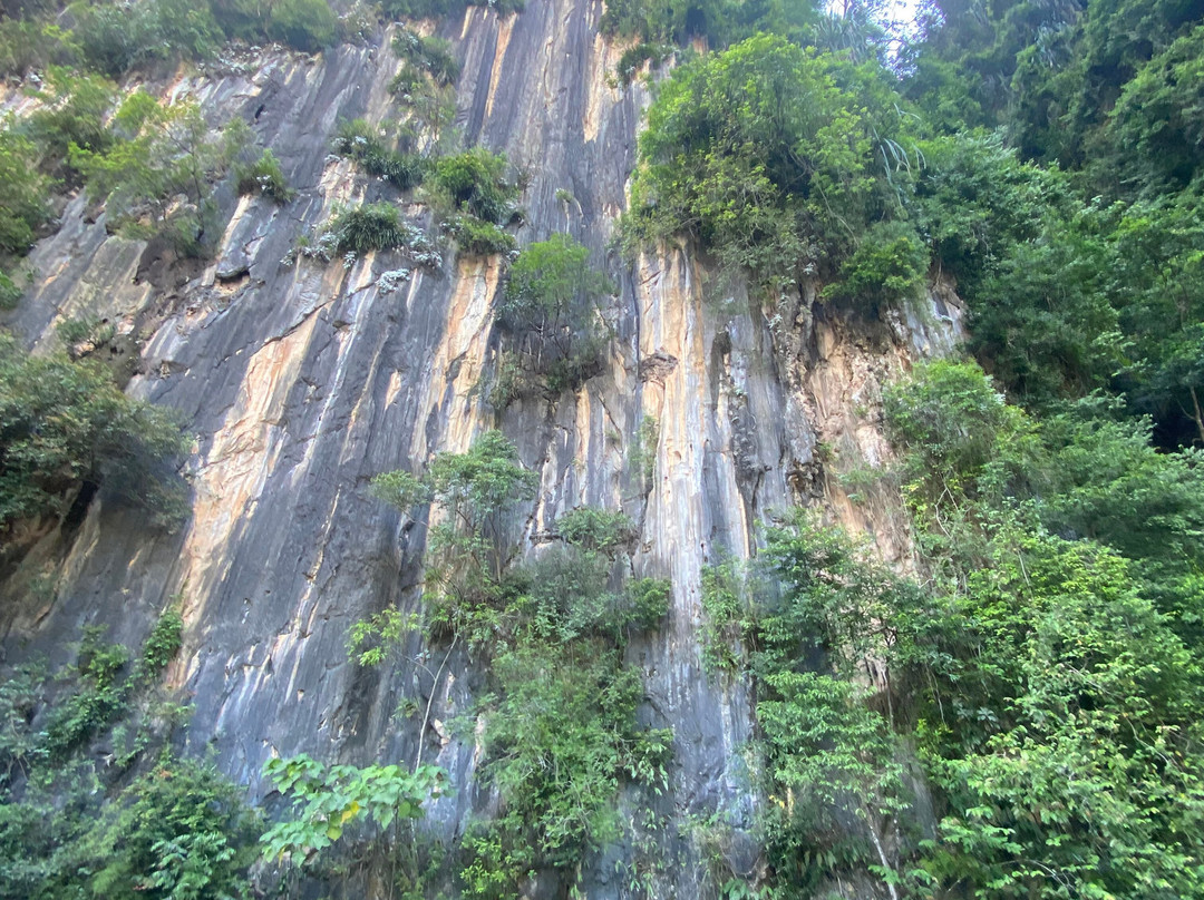 Malaysia City Cab-吉隆坡必去景点