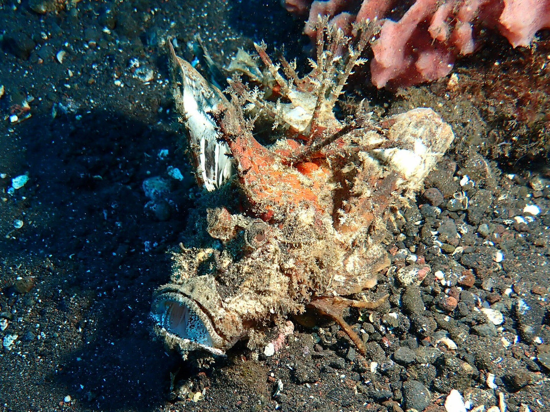 自由潜水度假村主图