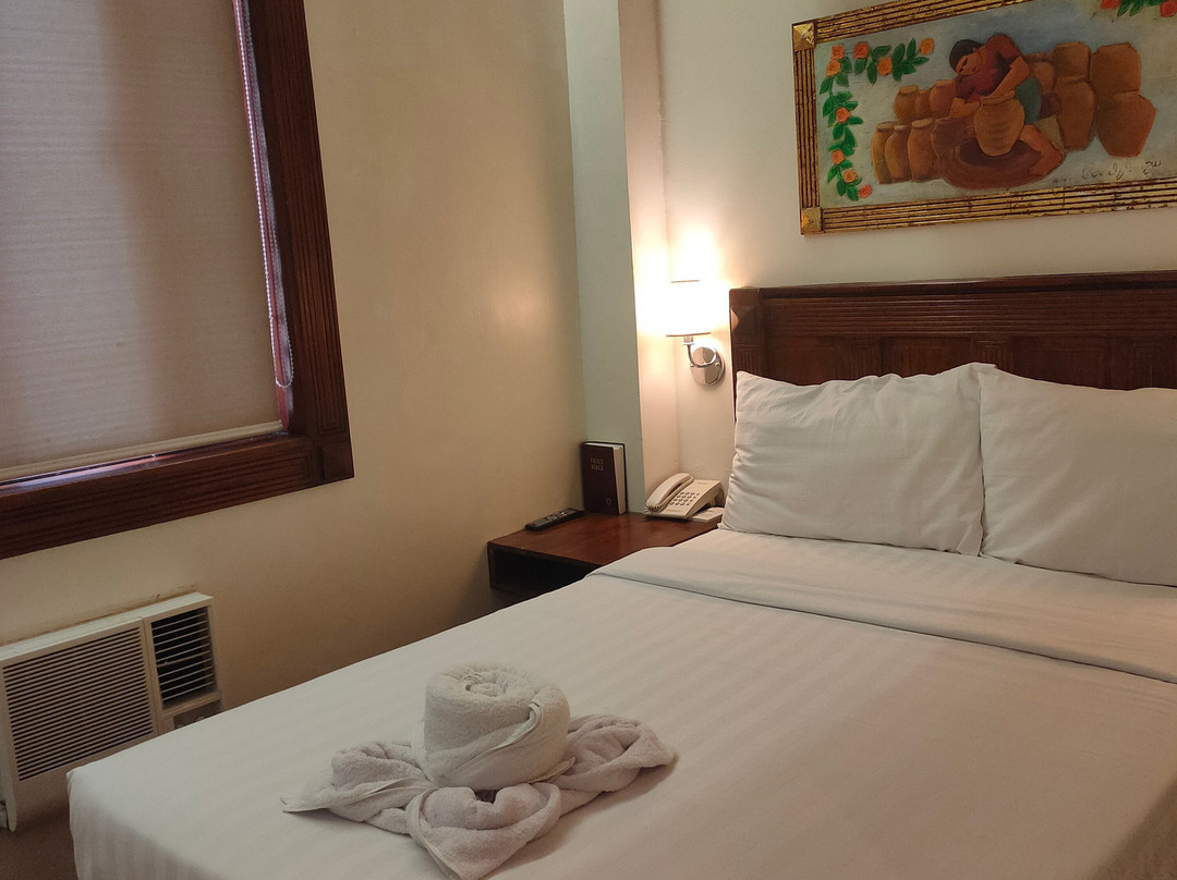 Hotel Veneto De Vigan主图