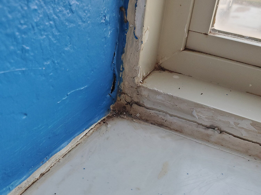 Holiday Inn Express & Suites Plainview By Ihg主图