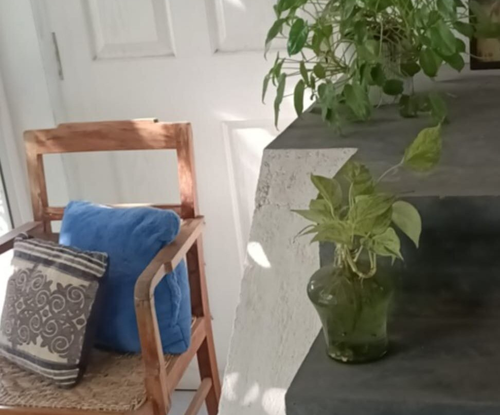 Adams Ayurveda Wellness Retreat景点图片