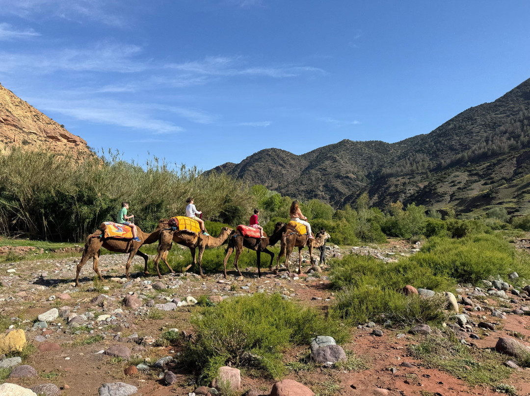 Moroccan Guides Travel景点图片